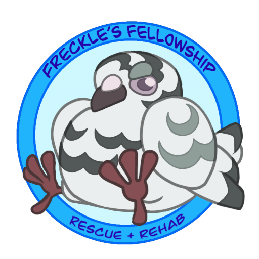 Freckle's Fellowship
